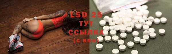 PSILOCYBIN Россошь